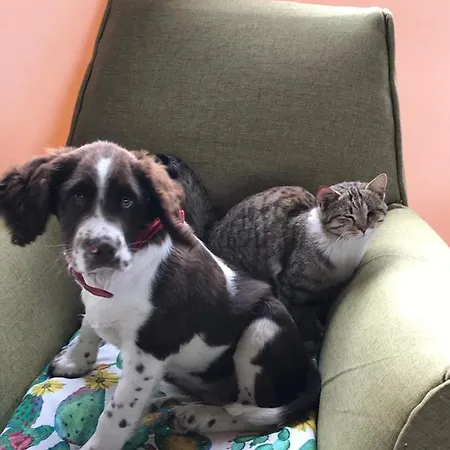 Borgo San Biagio Κατάλυμα σε φάρμα Calatabiano