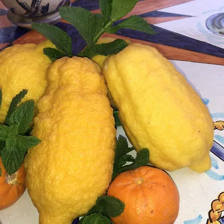 Κατάλυμα σε φάρμα Borgo San Biagio